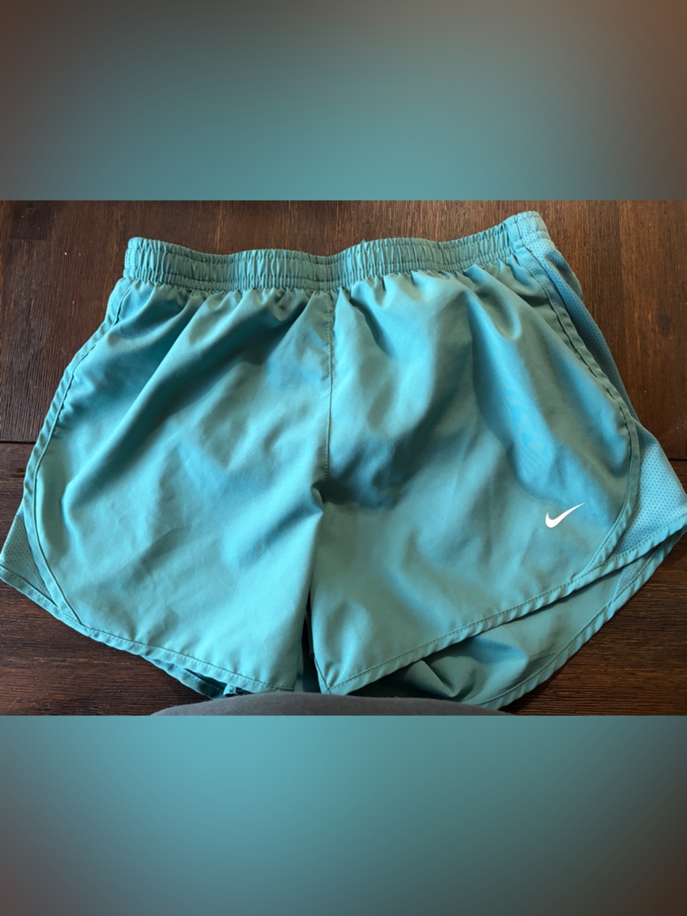 Nike Aqua Running Shorts